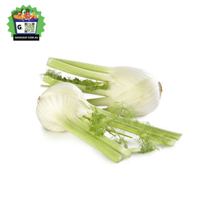 Fennel Bunch